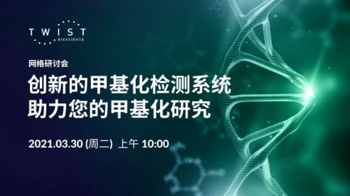 創(chuàng)新的甲基化檢測系統(tǒng) 精準賦能，引領甲基化研究新篇章