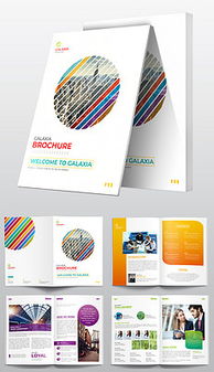 引領(lǐng)未來 EPS高科技公司網(wǎng)絡(luò)技術(shù)宣傳冊設(shè)計(jì)全攻略